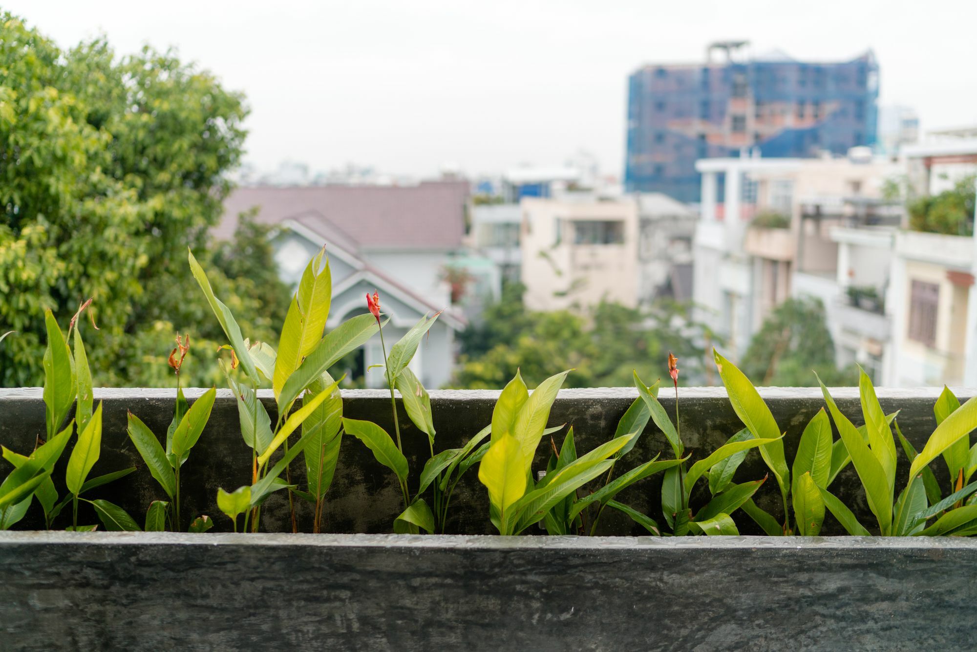 Iam Saigon Homestay Ho Chi Minh-byen Eksteriør bilde